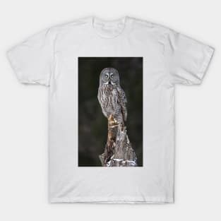 The Phantom - Great Grey Owl T-Shirt